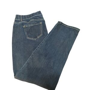 Lane Bryant Tighter Tummy Technology Jeans